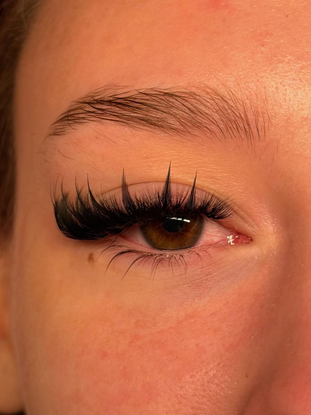Wispy set with long spikes on a brown eye